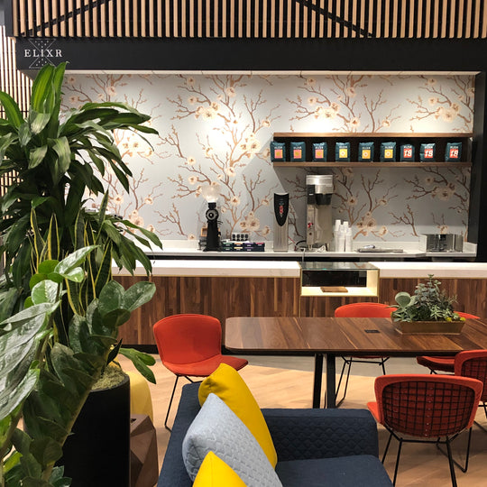 Elixr Coffee Roasters, photo 3
